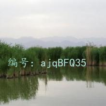 Ͻ