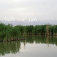 Ŀ