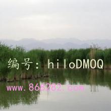 ѧϰ