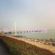 Ȧ