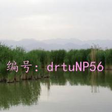 ǱĬ
