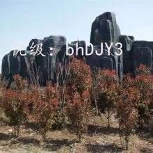 Ŀ