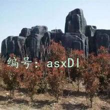 ĩ