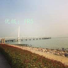 ͨ