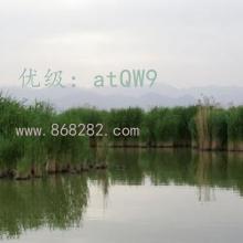 ǧ