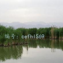 ǱĬ