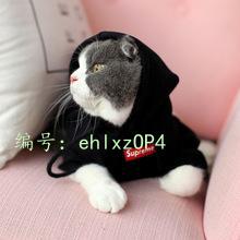 ֳ