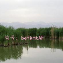 ѧϰ